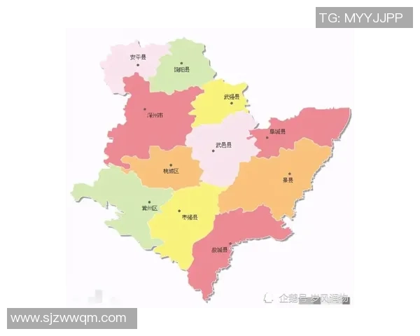 权威发布羽毛球技术实力榜单揭示顶尖选手风采与实力对比