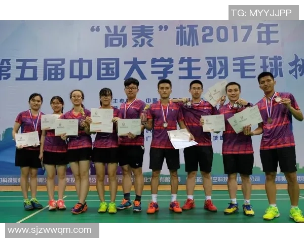 武汉羽毛球队实力深度剖析与各队对比分析